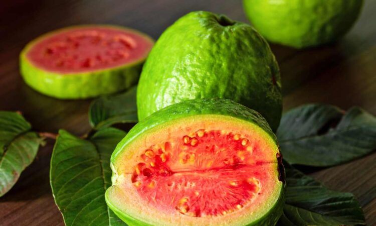 A Guava Fruit Has Many Health Benefits